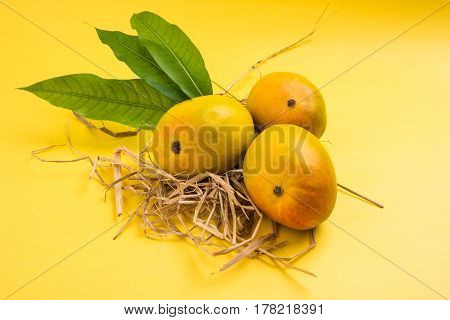 King of fruits; Alphonso yellow Mango fruit duo with stems and green leaf isolated over colourful background, a product of Konkan from Maharashtra - India