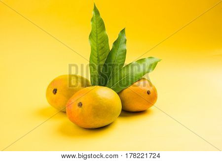 King of fruits; Alphonso yellow Mango fruit duo with stems and green leaf isolated over colourful background, a product of Konkan from Maharashtra - India