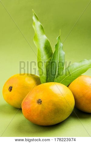 King of fruits; Alphonso yellow Mango fruit duo with stems and green leaf isolated over colourful background, a product of Konkan from Maharashtra - India