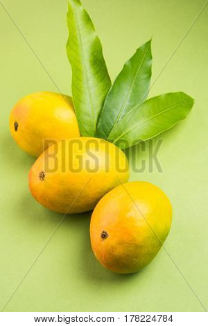 King of fruits; Alphonso yellow Mango fruit duo with stems and green leaf isolated over colourful background, a product of Konkan from Maharashtra - India