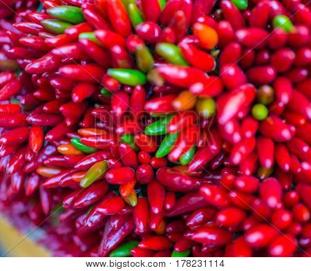 Red hot chilly pepers closeup background