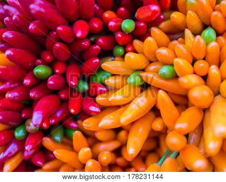 Red hot chilly pepers closeup background