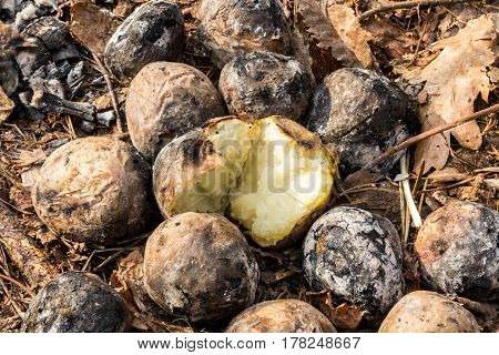 Handful Baked Potatoes. Potatoes With Fire.
