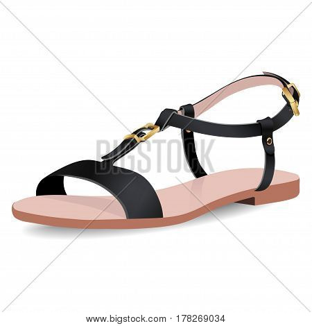 Vector shoes, women's black sandals on flat-bottomed with straps, isolated on white background