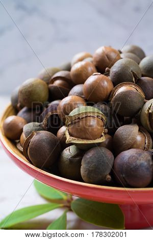 Macadamia nuts harvest close up with leaves