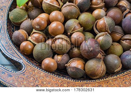 Macadamia nuts harvest close up with leaves