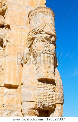 In Iran Persepolis
