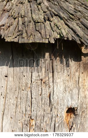 Old traditional Ukrainian wooden beehive (bee gum) with a small hole that is an entrance for bees.