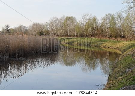 Spring Awakening on agricultural land and an irrigation ditch.