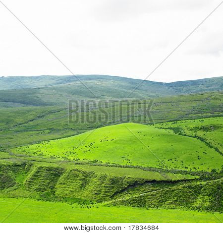 Sperrin bjerge, County Tyrone, Nordirland