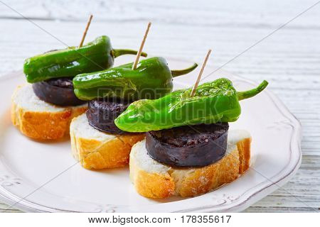 pinchos Burgos morcilla with padron pepper tapas pintxos from Spain food