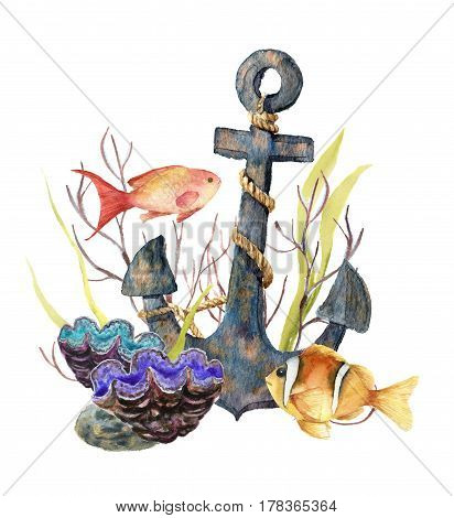 Watercolor tropic sea card. Hand painted tropic fish, old anchor, sea anemones, seaweeds isolated on white background. Underwater illustration for design, fabric or print