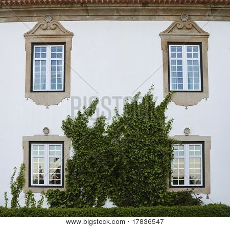Yksityiskohta kartanon Portugalissa