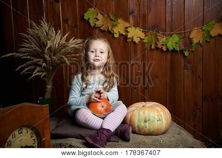 Portrait of adorable smiling girl posing with orange pumpkin in fall wooden interior.