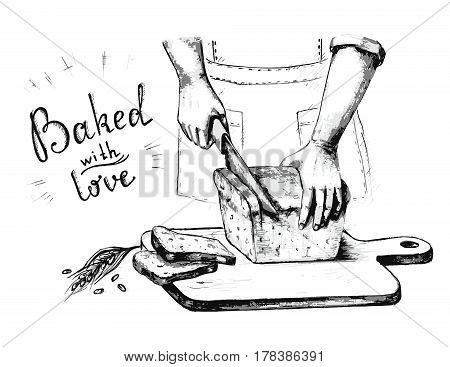 Vector illustration of a sketch on a topic of fresh bread. Hands cut bread. Done by hand in black and white. Isolated on white background