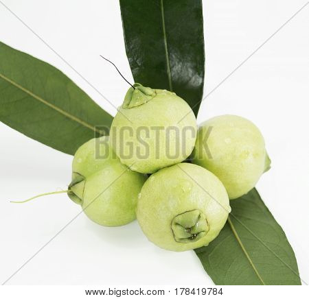 Syzygium jambos or rose apple isolated on white background