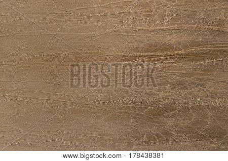 Decorative Plaster