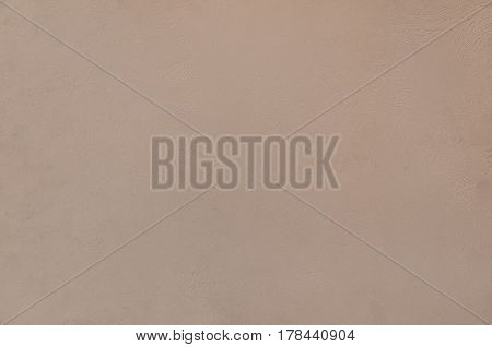 Decorative Plaster