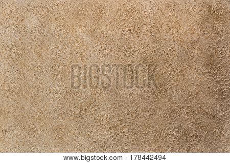 Decorative Plaster