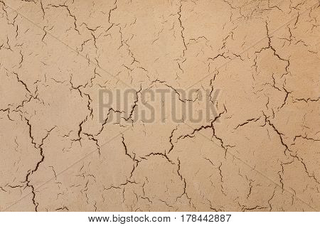 Decorative Plaster