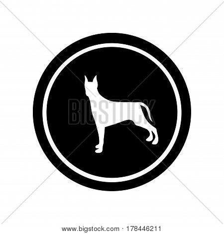 circular frame with figure doberman pinscher dog animal vector illustration