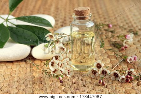 Bottle of essential aroma oil with flowers and stones on straw mat. Aromatherapy beauty care product.