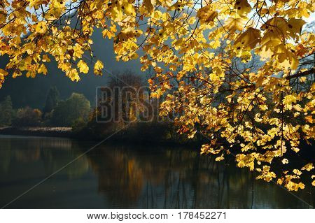 Swiss Lucelle Lake (Lac de Lucelle) in a golden frame of autumn leaves