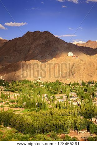 Bird's eye view of city of Leh in Ladakh, Kashmir and surrounding mountains