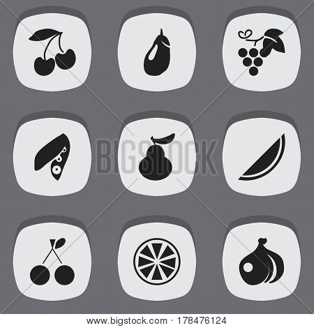 Set Of 9 Editable Berry Icons. Includes Symbols Such As Duchess, Eggplant, Morello Cherry And More. Can Be Used For Web, Mobile, UI And Infographic Design.