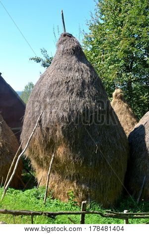 Landscape in Apuseni Mountains. The Apuseni Mountains is a mountain range in Transylvania, Romania, which belongs to the Western Romanian Carpathians, also called Occidentali in Romanian. The Apuseni Mountains have about 400 caves