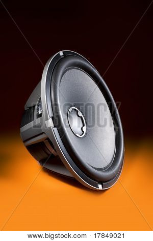Speaker / Sub-woofer