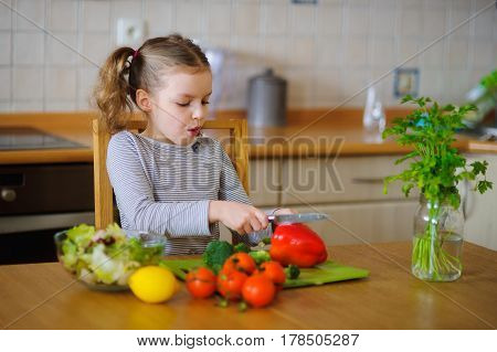 Cute girl of younger school age cuts vegetables and greens for salad. Salad bowl is already full but little cook still cuts some red paprika . Kitchen is purely cleaned. On a table various fresh vegetables.