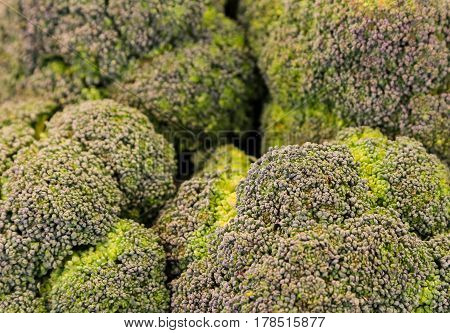 Heap Of Broccoli