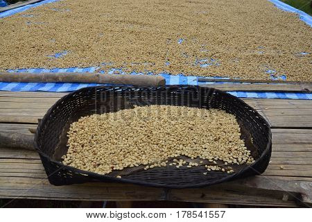 Process of drying coffee beans (parchment coffee) sun dry the beans. This is natural and the most ecological