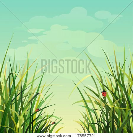 Illustration with Big Green Grass on the Background. Image for your design projects: banners, business, cards, posters, textiles