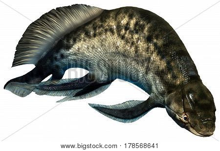 Scaumenacia from the Devonian era 3D illustration