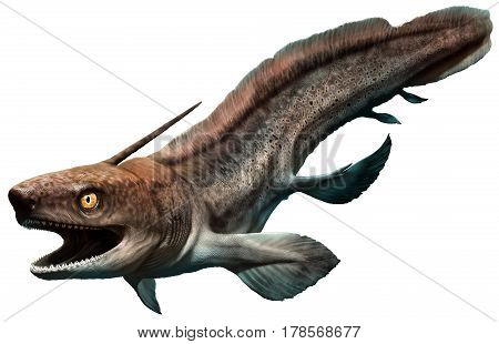 Xenacanthus from the Triassic era 3D illustration