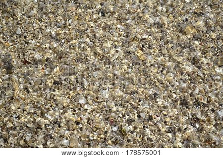Beach sand texture being wet by the sea water. Raspy sand.
