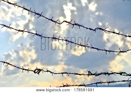 A thorn metal wire with a background of cloudy sky.
