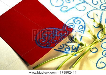 The earliest spring flowers. Card. Sweethearted nature.
