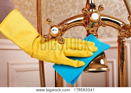 Female hands in gloves cleans sanitary equipment