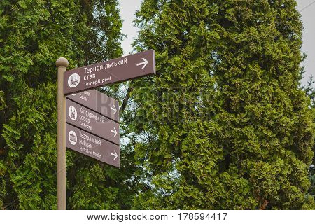 Tourist street sign on a background of green thuja. Street pointer. Inscriptions in Ukrainian and English. Ternopil.