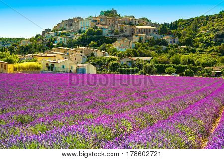 Simiane la Rotonde village and lavender. Provence France Europe