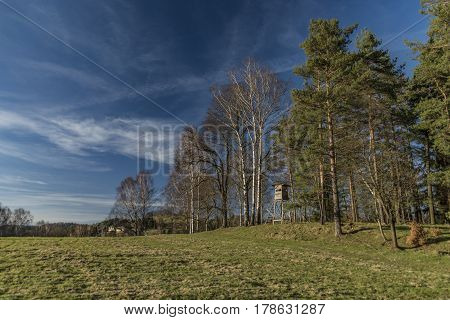 Rynartice Area In Spring Sunny Day In National Park