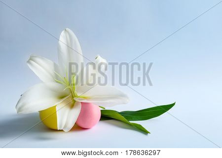 Beautiful composition with lily and Easter eggs on white background