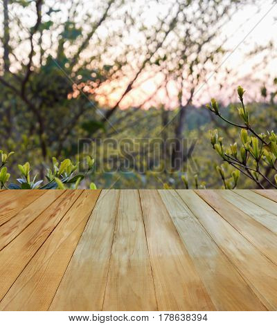 wooden floor with nature in countryside view