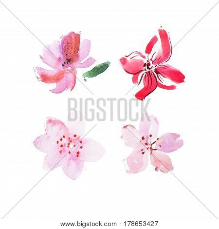 Watercolor drawing of fresh garden flowers aquarelle painting