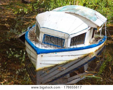 Bote hundido en laguna con  plantas acuaticas