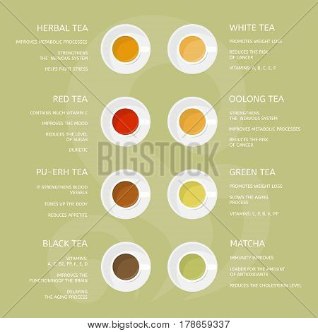 Types of tea: green, white, red, matcha, black, herbal, oolong. Beneficial properties of different of teas