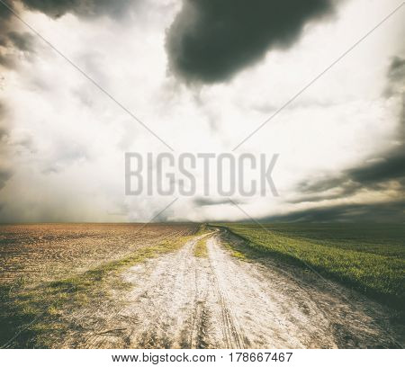 The beautiful landscape with field with green wheat and  road in the middle of the meadow and stormy sky with dark clouds  